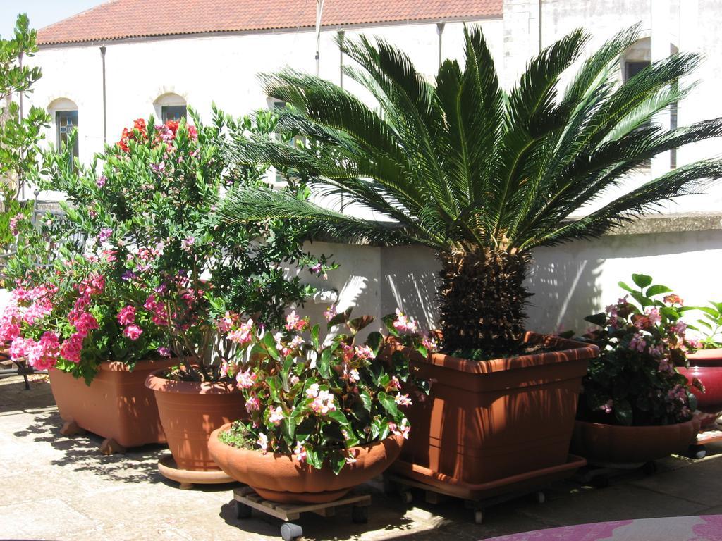 B&B Corte Barocca Λέτσε Εξωτερικό φωτογραφία